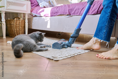 Cleaning house with vacuum cleaner, female with pet cat