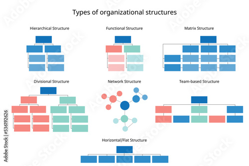 7 types of organizational structures to organize the company organization chart