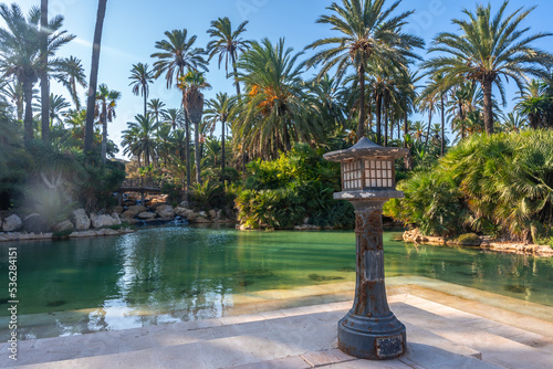 Landscape of palm trees in the El Palmeral park in the city of Alicante