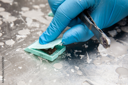 Cassette containing a biopsy sample. Scientist embedding tissues in paraffin blocks for sectioning. Pathology laboratory. Cancer diagnosis.