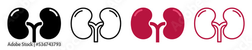 Set of human kidney vector icons. Silhouette with internal organs. Outline icons. Vector 10 EPS.