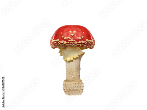 red fly agaric isolated on white background