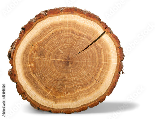 Wood round slice, isolated