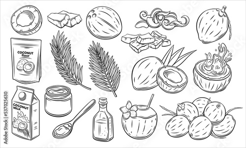 Coconut set, outline icon vector illustration. Hand drawn black line palm tree leaf from summer beach, whole tropical fruit and cut into slices, exotic cocktail, coconut milk and oil for cooking