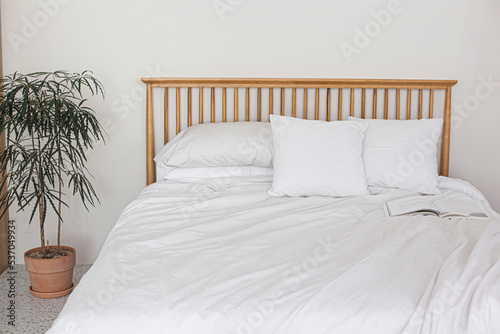 bedroom interior with white sheet bed