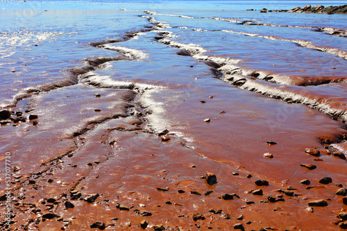 Coastline on the Bay of Fundy in New Brunswick in Canada at low tide
