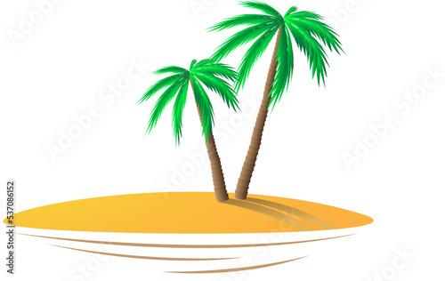 Two palm trees on the island isolated