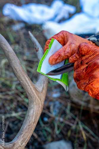 Hunter with a Wyoming resident hunting license tag for deer - shallow depth of field, selective focus