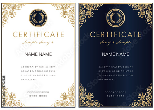 賞状１ certificate ディプロマ 表彰状 フレームデザイン 