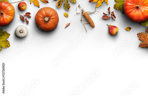 A Thanksgiving autumn harvest background of pumpkins, pears, leaves and corncobs isolated against transparent background.