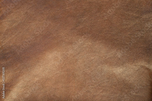 texture of brown raw leather background