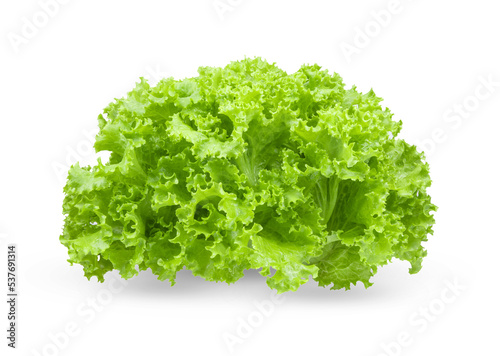 fresh green lettuce salad leaves isolated on transparent png