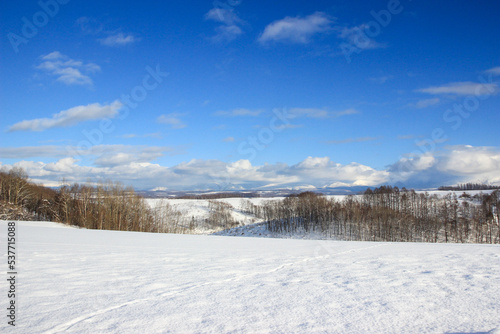 冬の丘陵地帯