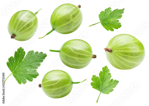 green berries and leaves of gooseberry isolated on white. the entire image in sharpness.