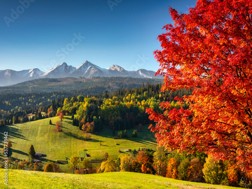 Beautiful autumn with a red tree under the Tatra Mountains at sunrise. Slovakia