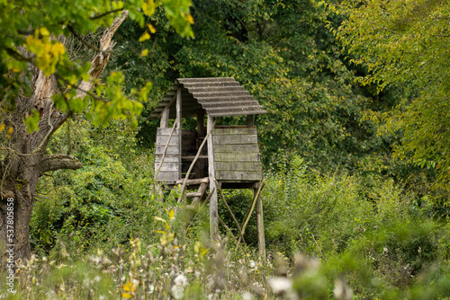 Hunting tower in the forest