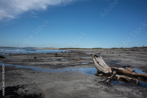 A storm has washed away the sand on a beach in co. Mayo, Ireland. Only black peat now remains. Here and there stumps emerge, called bog oak, remnants of a forest long ago.