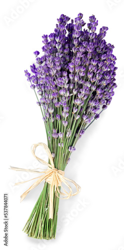 Bouquet of lavender flowers on white background