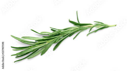 Herb parsley mint thyme rosemary isolated leaf
