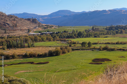 Scenic view, rural, town of Oliver, Okanagan Valley, British-Columbia, Canada