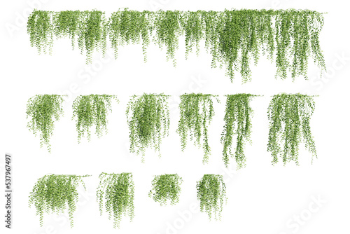 creeper plants, vines, 3d rendered