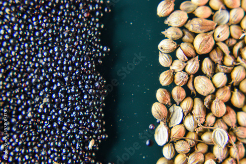 Stem Amaranth( Data Denga Dughi Callaloo Spinach) and Sack Whole Coriander Seeds