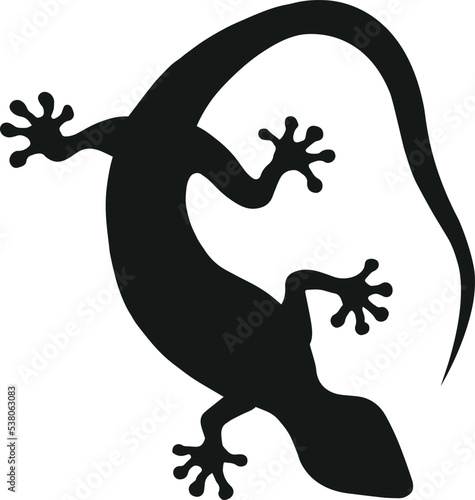 Tokay gekko silhouette on white background. Black hand drawn vector art of a gekko. Illustration of a lizard