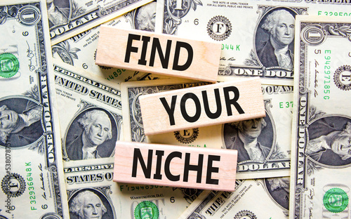 Find your niche symbol. Concept words Find your niche on wooden blocks. Dollar bills. Beautiful background from dollar bills. Business and find your niche concept. Copy space.