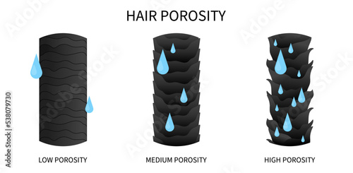 hydration of hair thinning or moisturization sinks drop porosity test for dryness