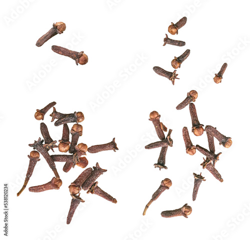 clove spice isolated on a white background. The view from top.