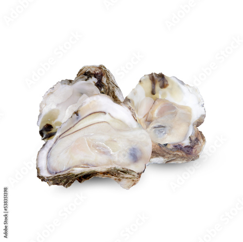 Oyster isolated on transparent background (.PNG)