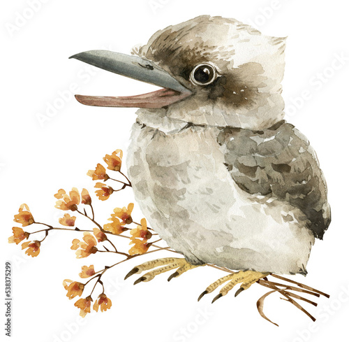 Australian kookaburra bird on a branch with flowers, watercolor illustration.