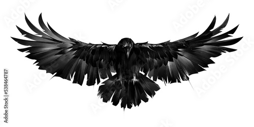 drawn graphic image of a raven bird on a white background