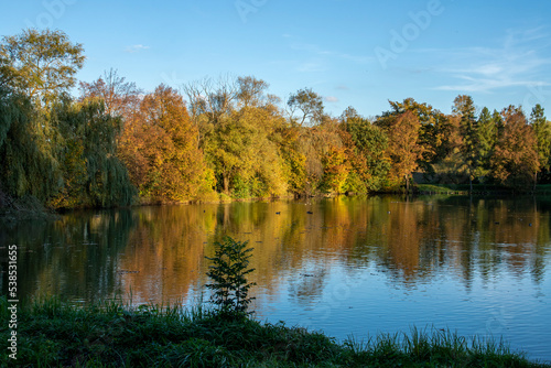 Colorful autumn trees by the pond on a sunny day