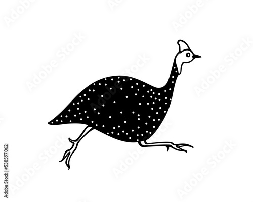 Vector card with hand drawn hastily running helmeted guinea fowl made in cartoon style. Ink drawing, graphic illustration, heavy contour. Beautiful design elements