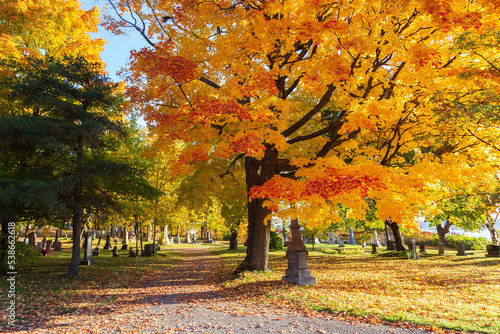 The 1849 protestant Mount Hermon Cemetery seen during a golden hour fall morning, Quebec City, Quebec, Canada