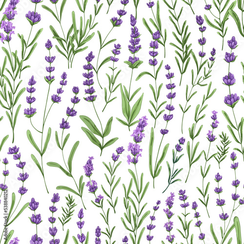 Lavender pattern with purple flowers and leaf. Seamless floral background, repeating print. Botanical repeatable texture, provence design with lavanda. Vector illustration for textile, wrapping