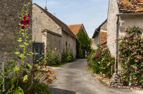 Yevre le Chatel, Roses