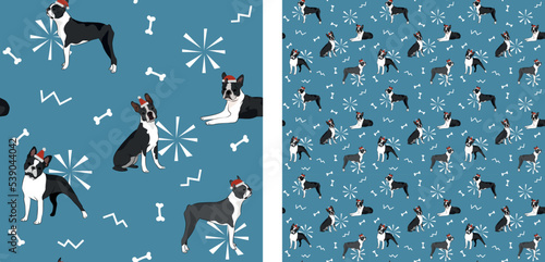 Seamless dog pattern, winter Christmas texture. Square format, t-shirt, poster, packaging, textile, socks, textile, fabric, decoration, wrapping paper. Trendy hand-drawn boston terrier dogs
