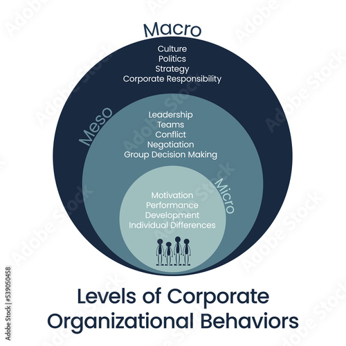 Levels of Corporate Organizational Behaviors vector illustration graphic