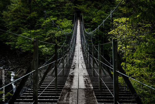 吊り橋 旅行 観光 自然