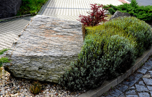 garden composition with a rock around planted with low evergreen bushes and lavender just cut into a loaf shape. the gneiss stone from the quarry is a barrier against vehicles