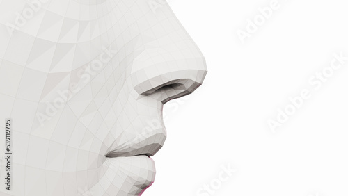3d rendered illustration of a female nose