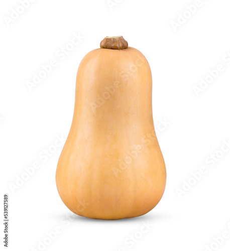 butternut squash isolated on transparent png