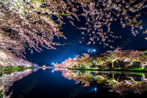 青森県 弘前城桜祭り・夜桜 