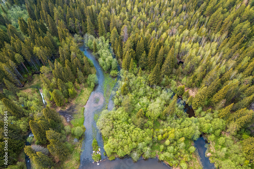 drone view of the forest river, trees and forest