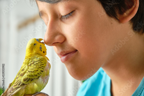 green parakeet without chest feathers perched on the hand of a dark-haired child giving him a kiss on the nose