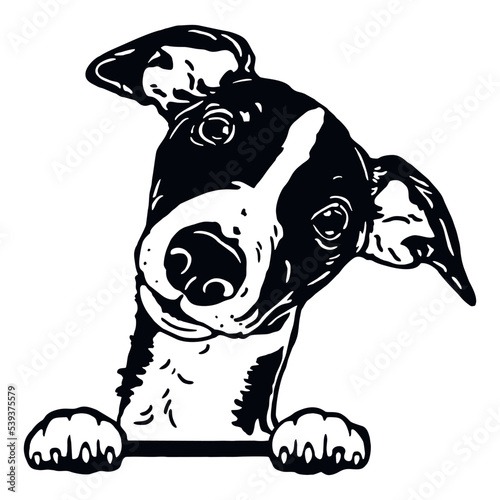 Whippet - Funny Dog, Vector File, Cut Stencil for Tshirt