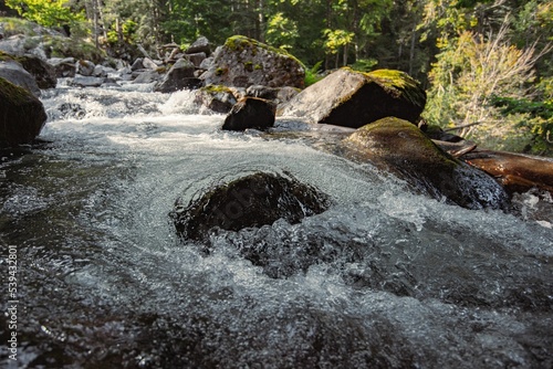 Closeup of the agitated rocky river against the forest background