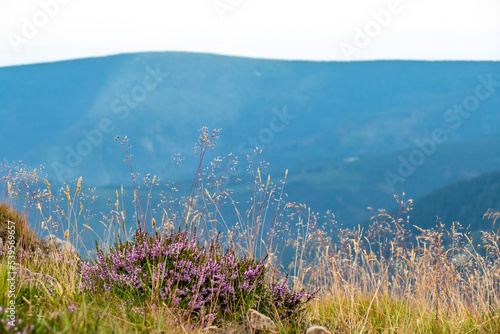 widok na okolicę z góry Śnieżka, Karkonosze, strona Czeska, Czechy